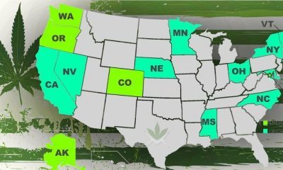 These Five States Are Next To Vote On Cannabis Legalization