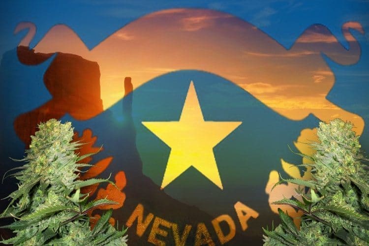 These Five States Are Next To Vote On Cannabis Legalization