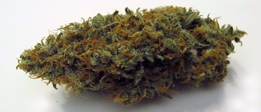 Northern Lights Strain Review And Information