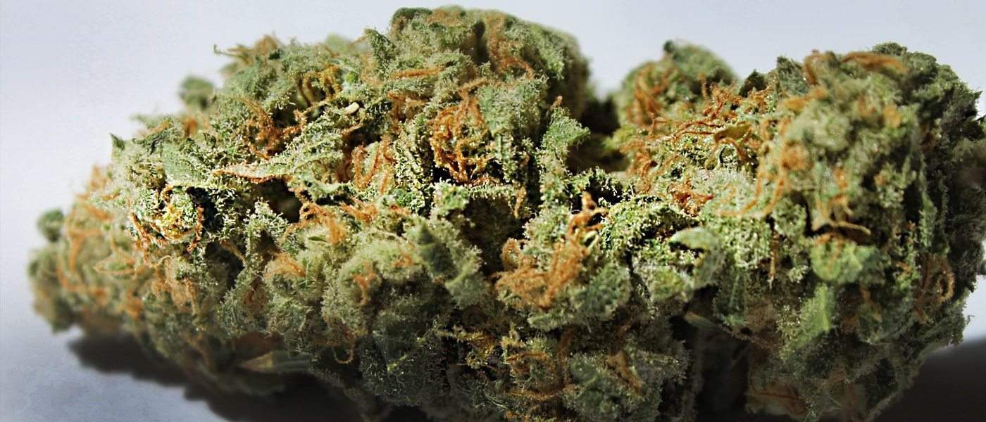 Pineapple Express Strain Review And Information