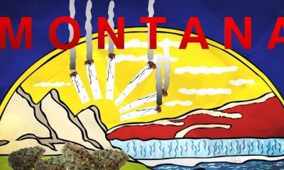 How To Qualify for Medical Marijuana in Montana