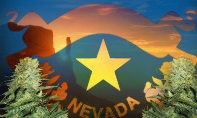 How to Qualify for Medical Marijuana in Nevada