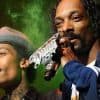 Railing Collapses At Wiz Khalifa And Snoop Dogg Concert, 42 Injured