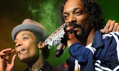 Railing Collapses At Wiz Khalifa And Snoop Dogg Concert, 42 Injured