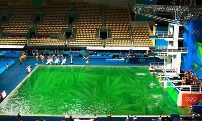 The Real Reason Why The Olympic Diving Pool Turned Green