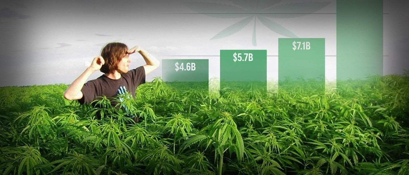 Cannabis Industry Will Be Worth $50 Billion by 2026