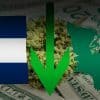 Cannabis Prices Falling in Colorado and Washington