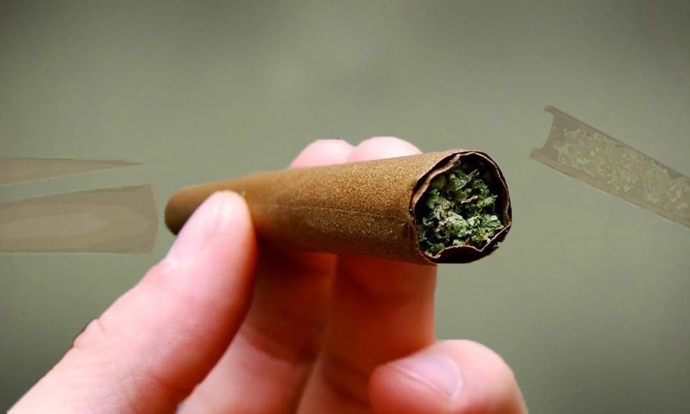 How To Roll a Blunt • Green Rush Daily