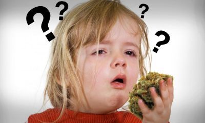 Why Does Marijuana Make You Cough?