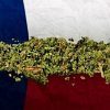 Number of Cannabis-Related Prosecutions Falls in Texas: Study