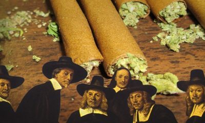 How To Roll Marijuana with a Dutchmaster Cigar