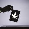These 9 states have marijuana initiatives on their November ballots