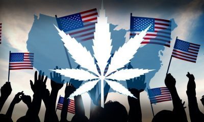 10 Million More Regular Cannabis Users In Last 12 Years