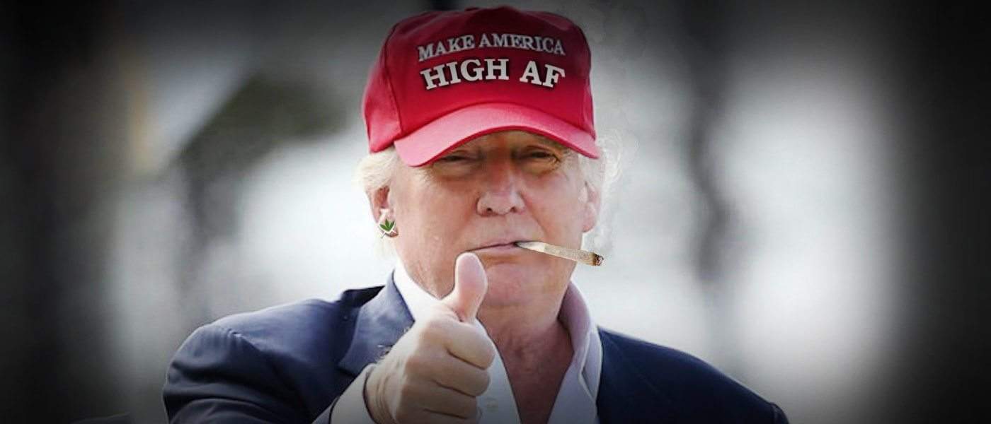 https://greenrushdaily.com/wp-content/uploads/2016/09/trump-may-back-cannabis-legalization-votes-1.jpg