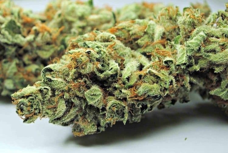 Best Strains To Smoke While Playing Video Games