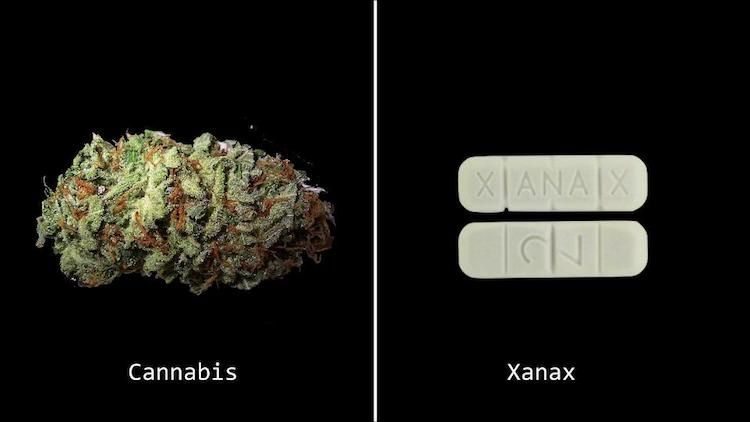 Weed Could Literally Replace These 5 Prescription Drugs