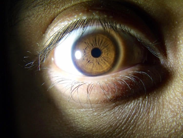 Cannabis May Give You Better Night Vision