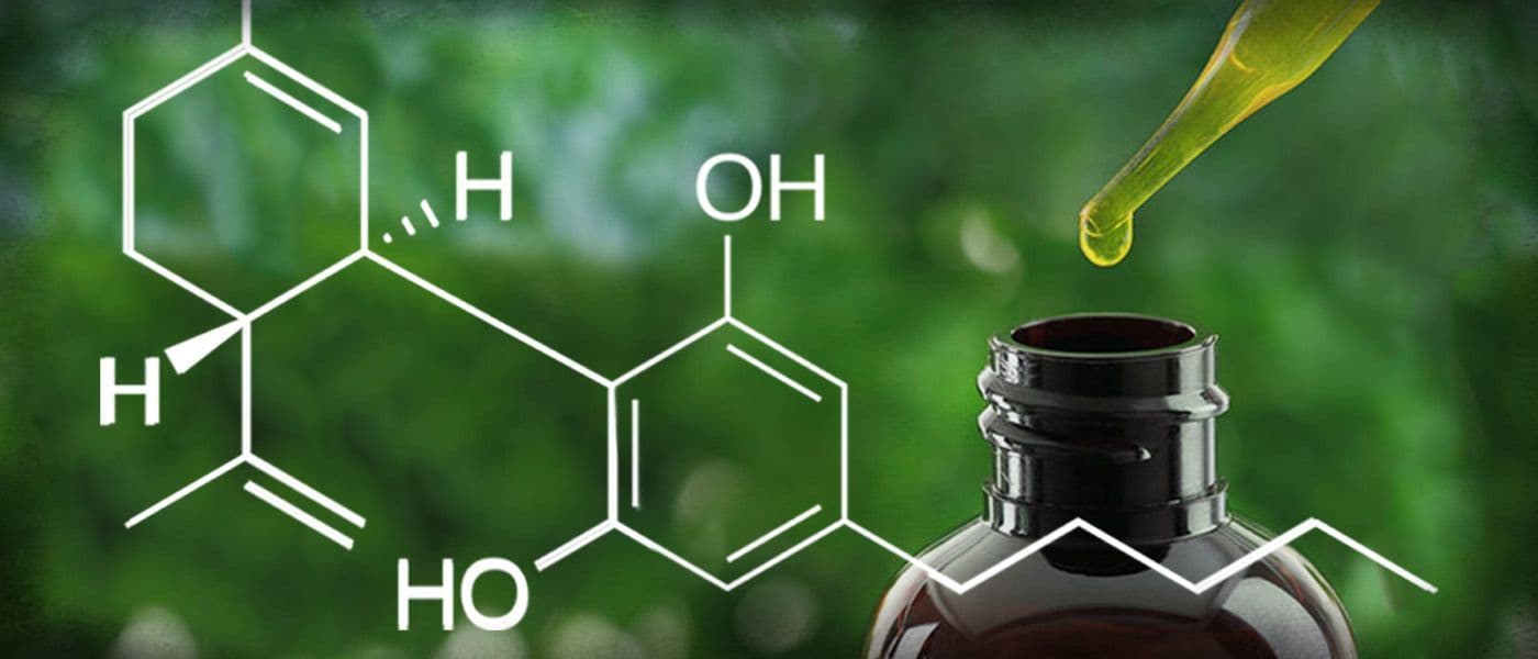 CBD: Everything You Need To Know About Cannabidiol