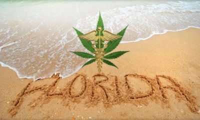 Florida Voters Approve Medical Marijuana