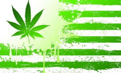 1 in 5 Americans Will Now Have Access To Legal Marijuana