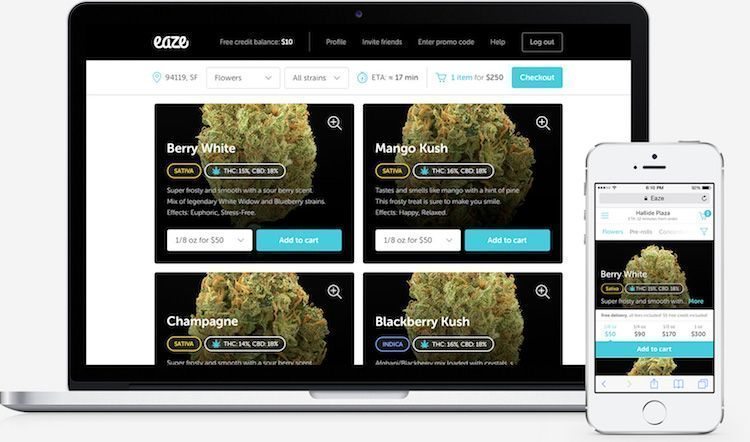 Best Cannabis Apps For Weed Smokers And Lovers