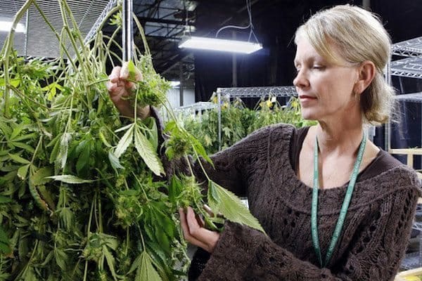 The Most Influential Women in The Cannabis Industry