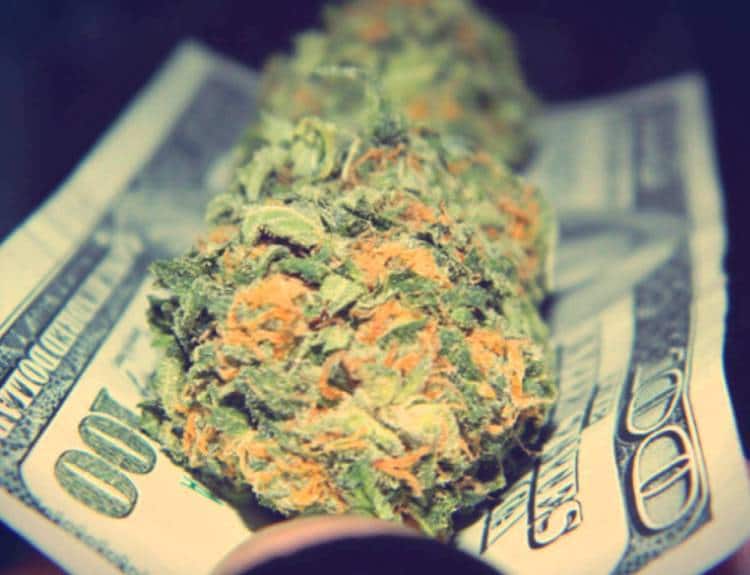 Legal Marijuana Creates $2.4 Billion Economic Impact In Colorado