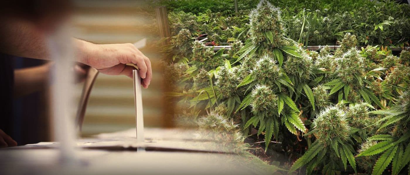 Maine Approves Marijuana Legalization