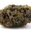 Purple Urkle Strain Review And Information