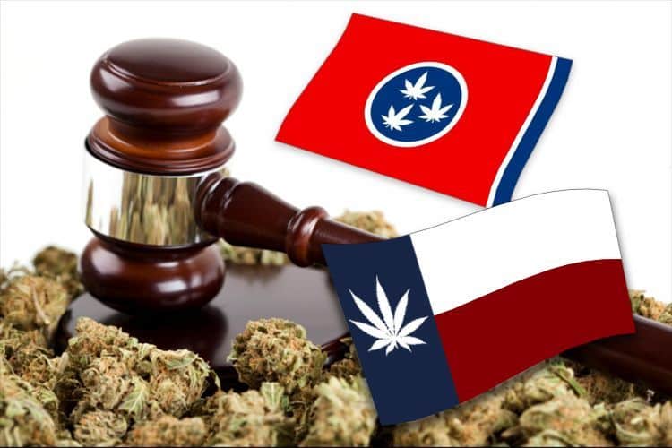 These US States Could Legalize Marijuana Next
