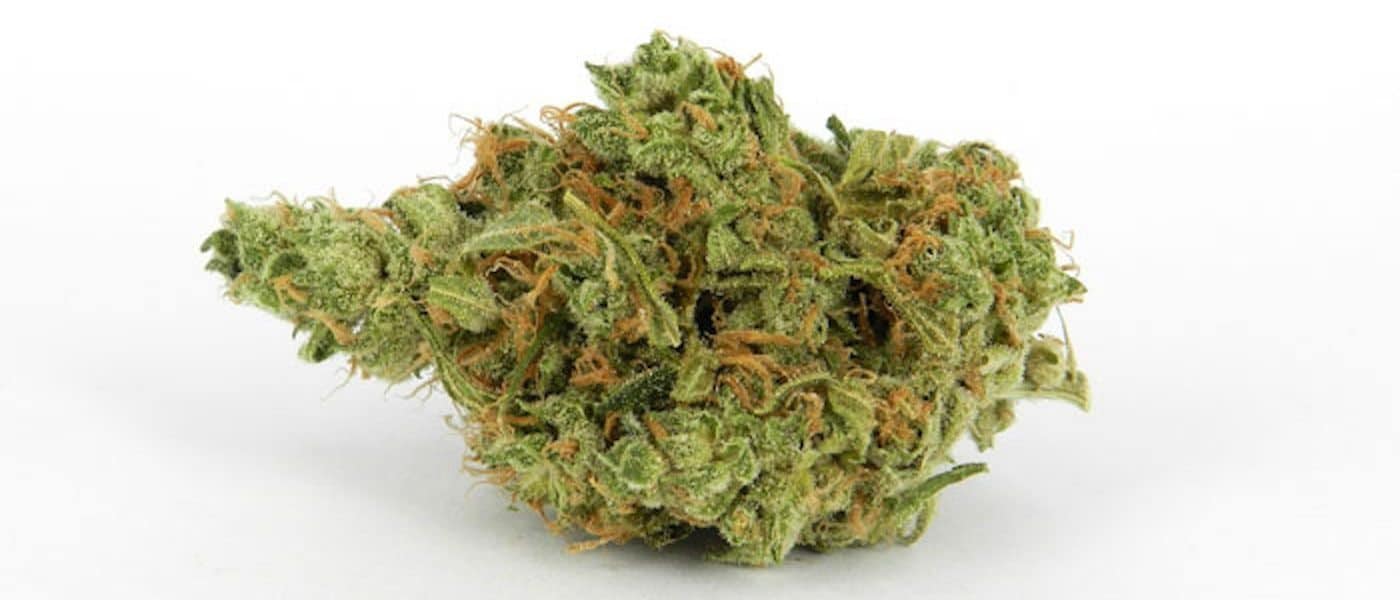 Wonder Woman Strain Review And Information