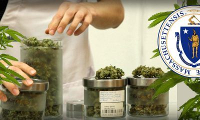 When Will Marijuana Be Officially Legal In Massachusetts