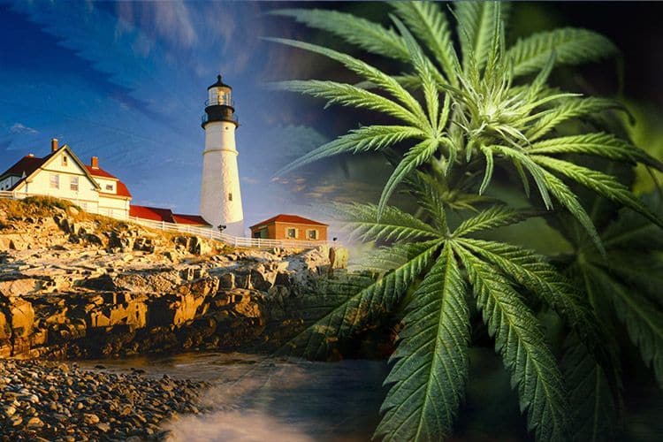 Maine Might Not Get Recreational Marijuana After All
