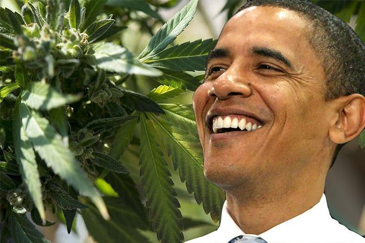 Obama Says Weed Should Be Treated Like Cigarettes And Alcohol