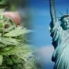 Want To Smoke Legal Weed In New York? Say You Have Chronic Pain