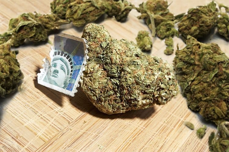 The United States Postal Service Is Stealing Your Weed