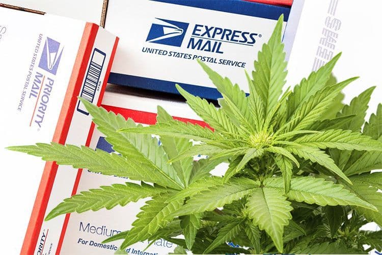 The United States Postal Service Is Stealing Your Weed