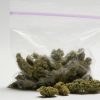 Craigslist Weed Dealer Wants $325 for Empty Bags With Free 'Gift' Inside