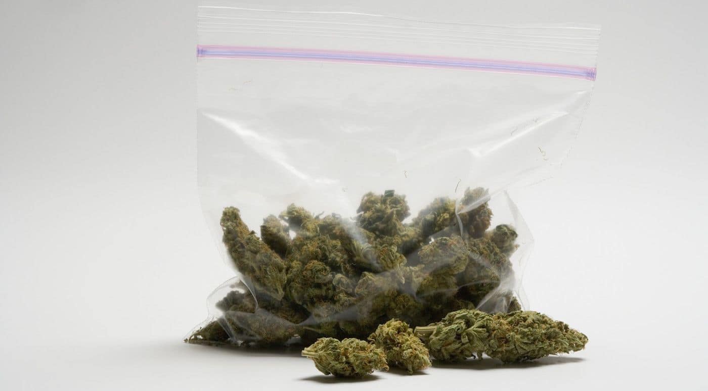 Craigslist Weed Dealer Wants $325 for Empty Bags With Free 'Gift' Inside