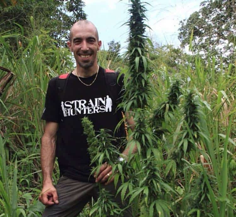 Franco Loja, Cannabis Legend Dies At 42