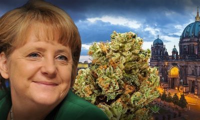 Germany Just Legalized Medical Marijuana