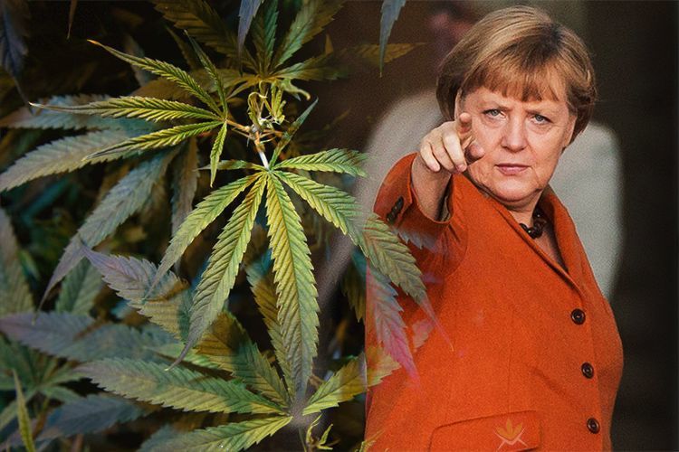 Germany Just Legalized Medical Marijuana