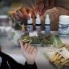 Israel To Decriminalize Marijuana Use