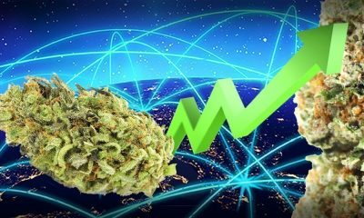 Legal Weed Is The Fastest Growing Market Since Broadband Internet