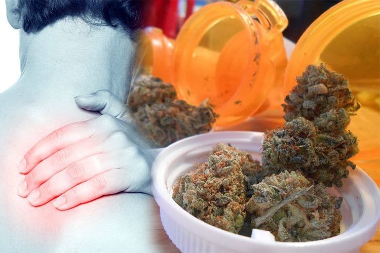 Here's How Cannabis Can Treat Chronic Pain Without Addiction