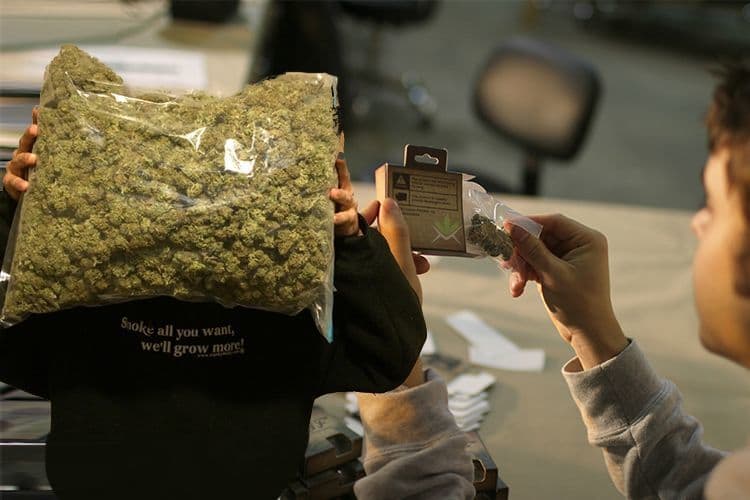 Here's How Much North America Spent On Weed In 2016