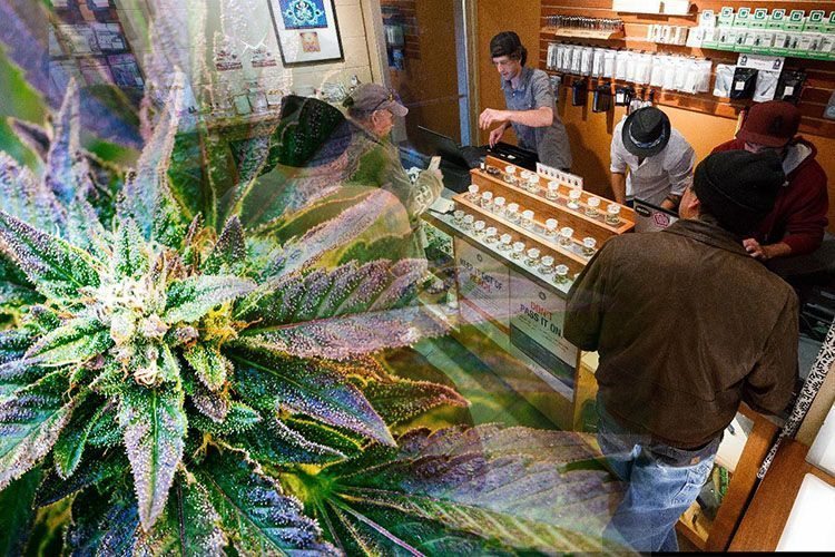 Here's How Much North America Spent On Weed In 2016