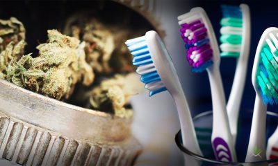 5 Ways To Clean A Grinder And Save Kief