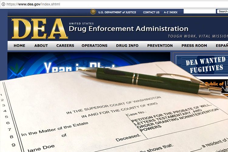 DEA Removes Cannabis Myths From Their Website