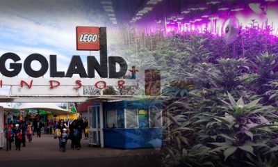Cannabis Grow Operation Found In Legoland Theme Park